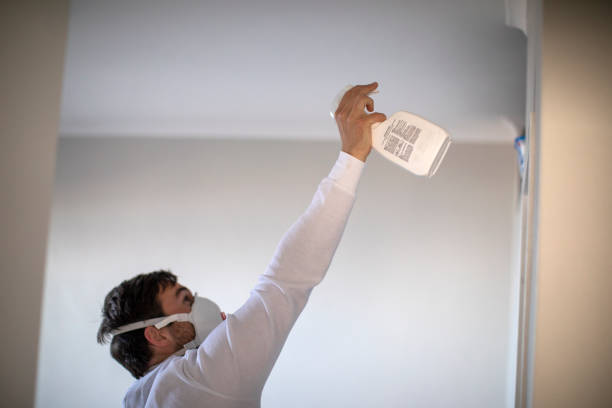 Best Same-Day Mold Removal  in Glespie, IL