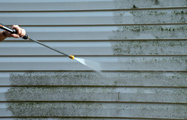Best Residential Mold Removal  in Glespie, IL