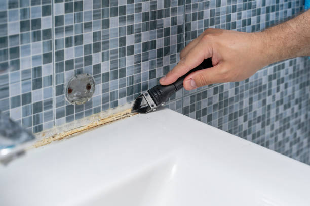 Best Certified Mold Removal  in Glespie, IL