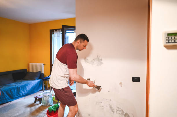 Best Local Mold Removal Service  in Glespie, IL